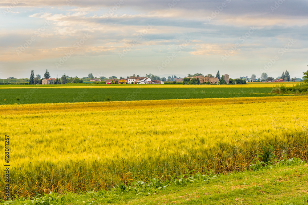 fields in countryside