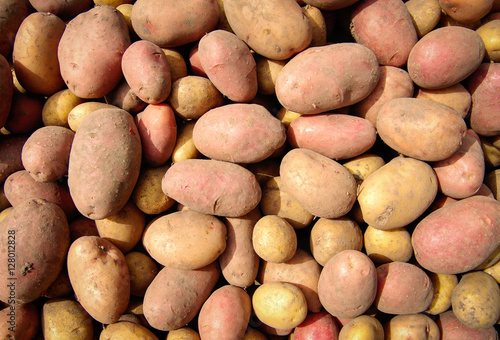 Fresh raw potatoes as background