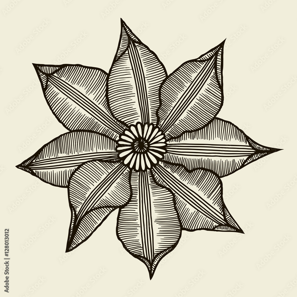 Hand drawn sketch flower