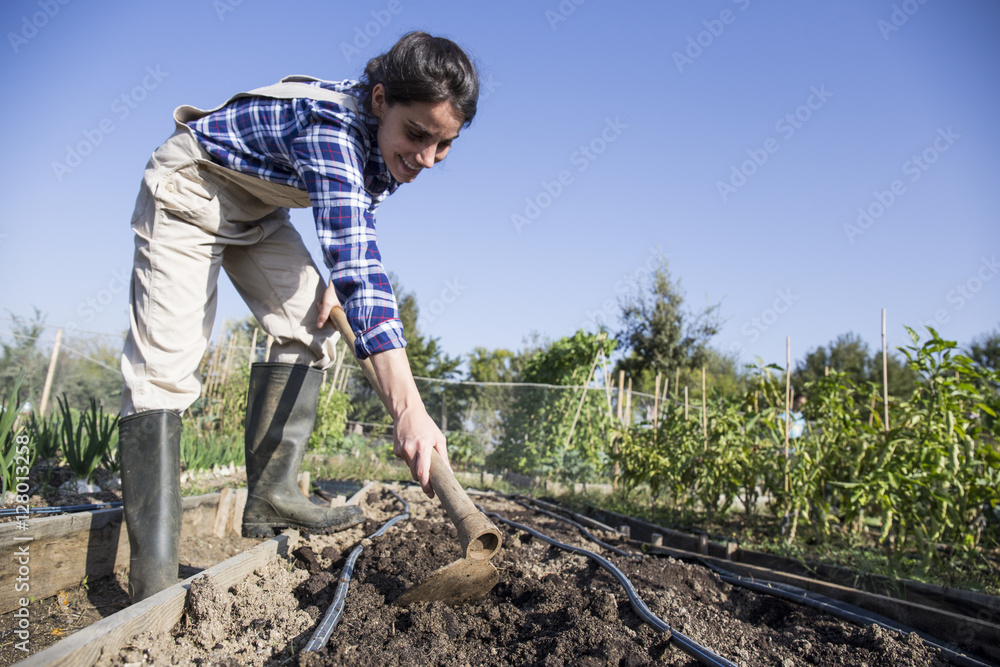 Woman working on farm, preparing vegetable patch with hoe Woman working on farm, preparing vegetable patch with hoe