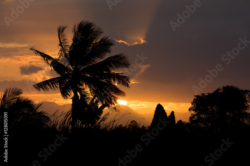 Coconut-tree palm silhouette and sunset over the river photo