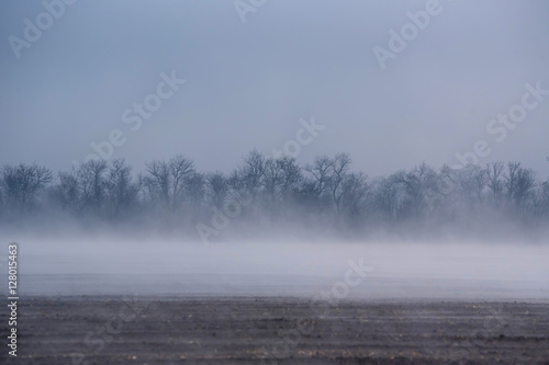 Morning fog over freshly plowed field