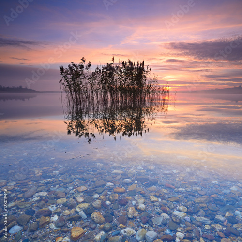 Stiller See bei Sonnenaufgang, Blick durchs klare Wasser auf den Grund des Sees, Schilf spiegelt sich