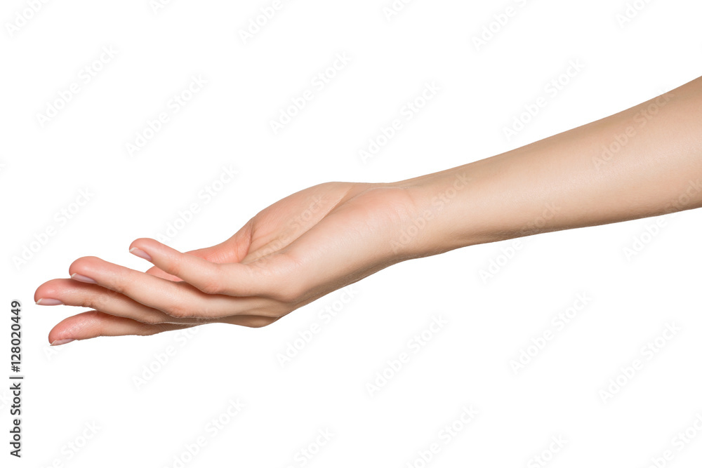 Empty open woman hand. Isolated on white background.