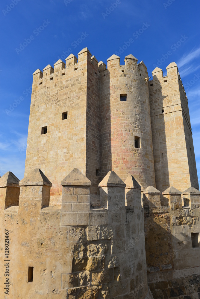 Torre de la Calahorra in Cordoba
