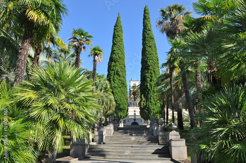 The arboretum in Sochi