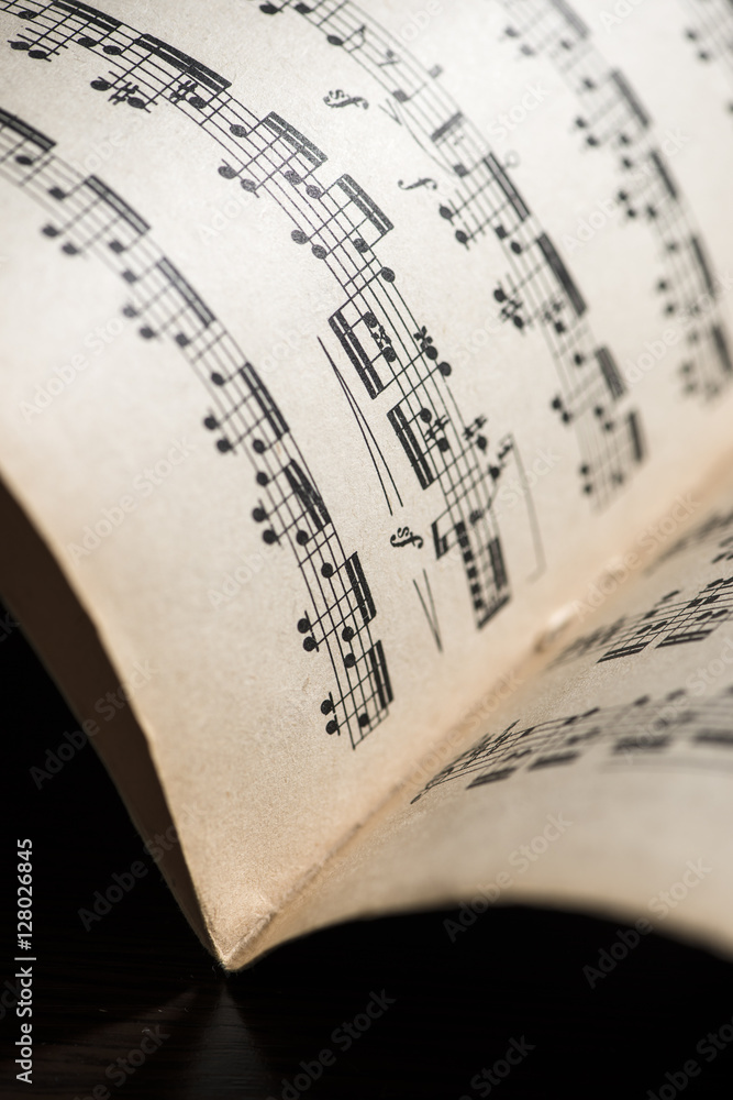 Naklejka premium Music notation book. Page with music notes