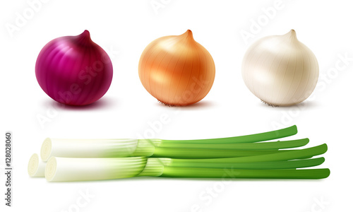 Vector Set of Fresh Whole Yellow Red White Green Onion Bulbs Close up Isolated on White Background