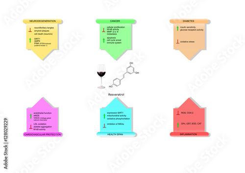 main health properties of resveratrol (red wine)