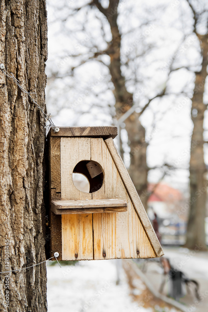 Bird house hanging from the tree with the entrance hole in the shape of a circle.