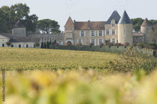 Vineyard and Chateau d'Yquem, Sauternes Region photo