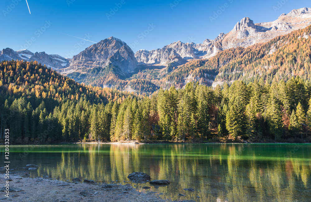 crystal clear mountain lake at sunset with light and sun filtering.Lake Tovel in Autumn. Italy crystal clear mountain lake at sunset with light and sun filtering.Lake Tovel in Autumn. Italy
