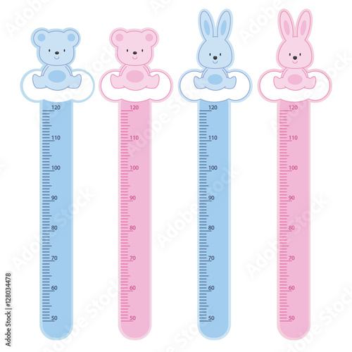 meter wall rabbits and bears
