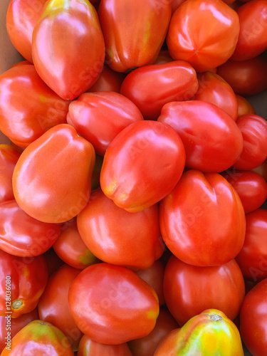 Closeup of freshly picked ripe Cherry tomatoes in Europe