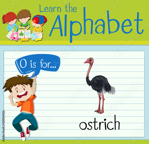 Flashcard letter O is for ostrich photo