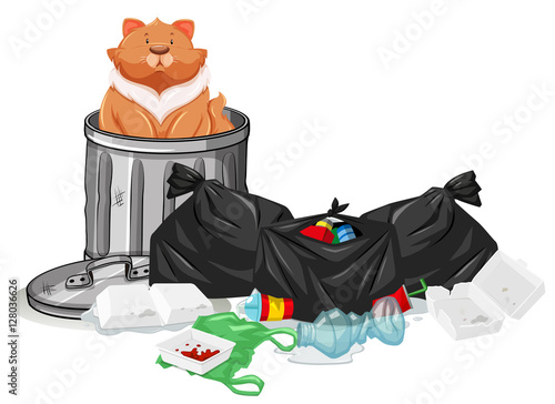 Cat sitting in trashcan