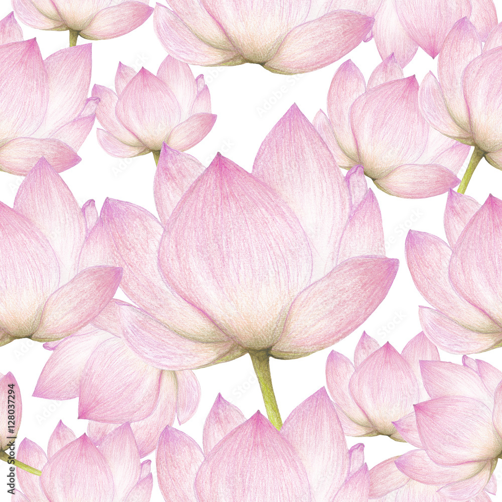Obraz premium Seamless pattern of lotus flowers
