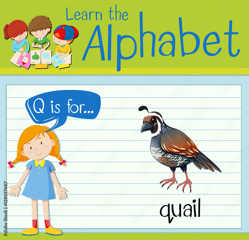 Flashcard letter Q is for quail Flashcard letter Q is for quail