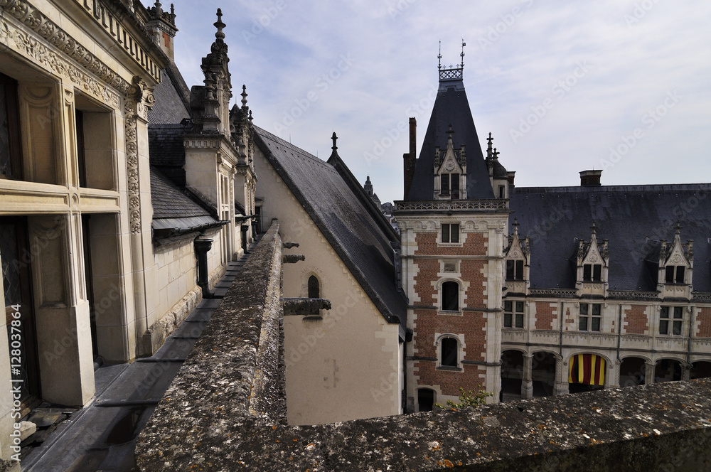 Royal Chateau of Amboise