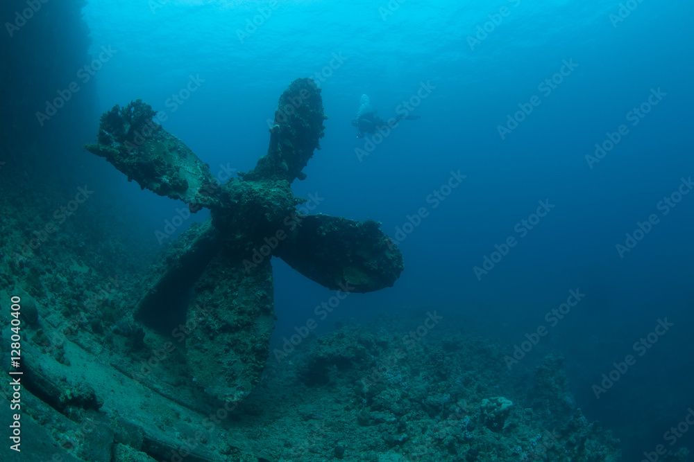 Fototapeta premium sunken ship wreck underwater diving Sudan Red Sea