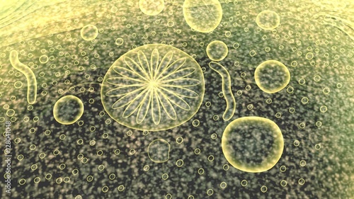 Wallpaper Mural Parasitic entamoeba Torontodigital.ca