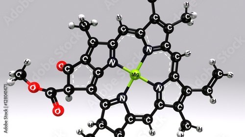 Chlorophyll B structure
