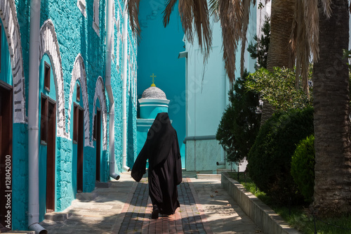 Bild auf Leinwand Russian St. Pantaleon Orthodox monastery at Mount Athos