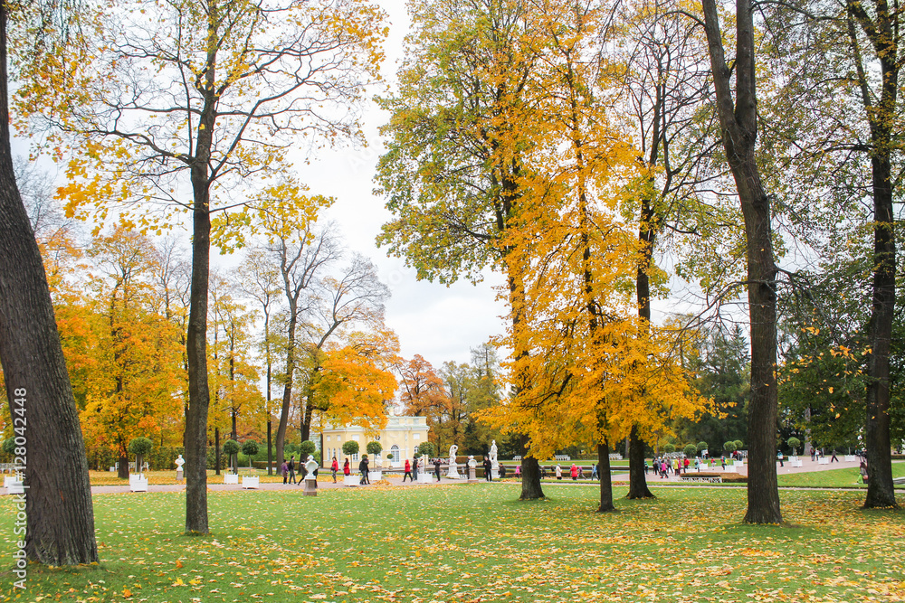 Autumn Catherine Park.