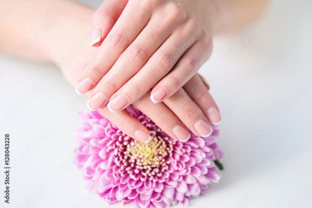 Woman hands with beautiful French manicure holding delicate pink flower