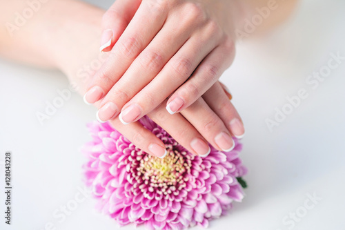 Woman hands with beautiful French manicure holding delicate pink flower