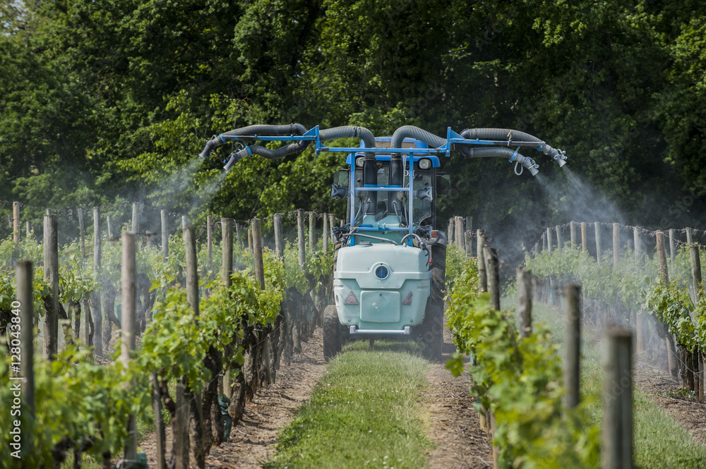 Obraz premium Agricultural chemical treatments in spring vineyard