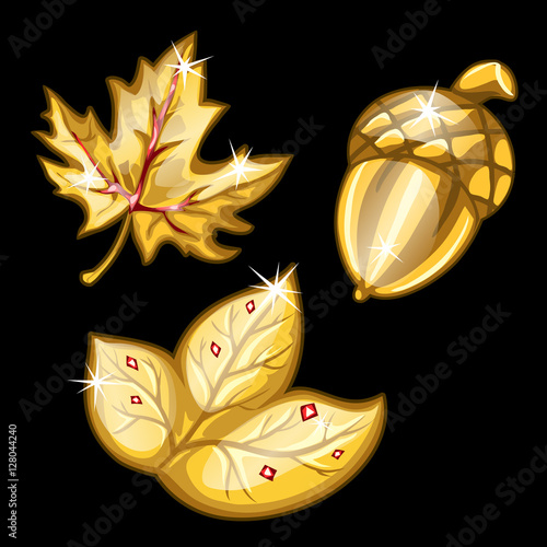 Two leaf and acorn made of gold. Vector set
