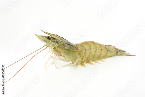 fresh Raw shrimp isolated © samurai