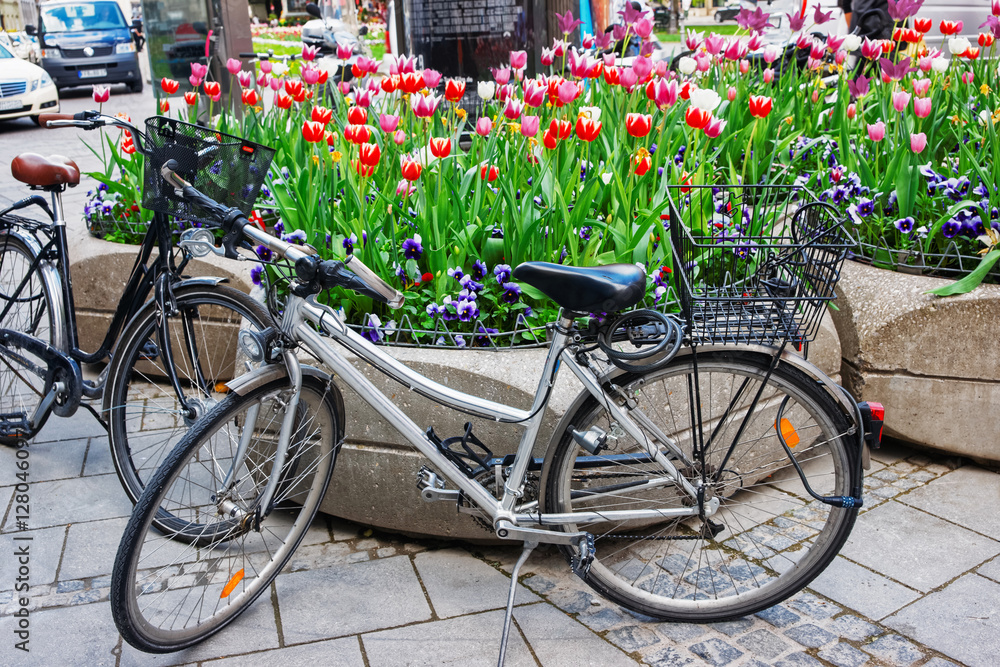 Bicycles and street flowerbed with blooming flowers in Munich Germany