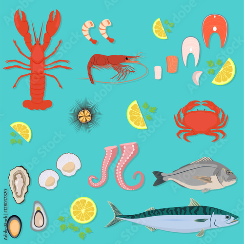 Infographic food business seafood flat lay idea. Vector illustration hipster concept  can be used for layout  advertising and web design. Seafood design set. Seafood menu for restaurant.