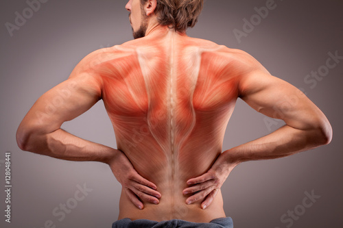 Back view of athlete man torso with muscle structure photo