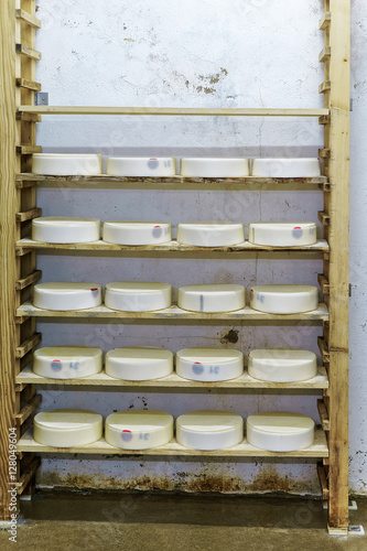 Comte Young Cheese at maturing cellar Franche dairy
