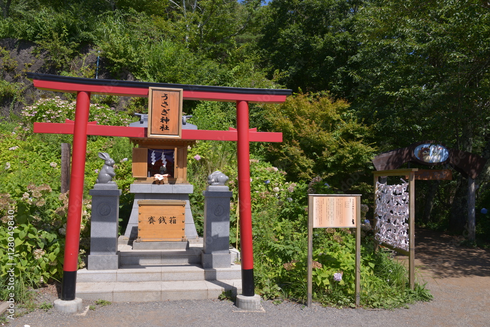 Minamitsuru-gun Trans Ticking Mountain Ropeway Japan Minamitsuru-gun Trans Ticking Mountain Ropeway Japan