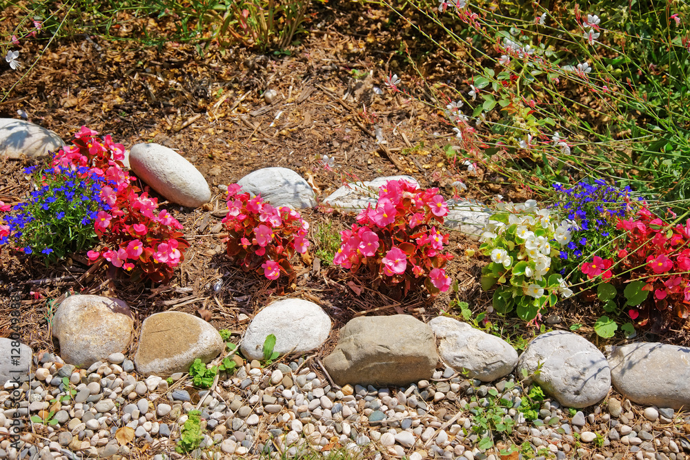 Decorative Flowers at inner yard in Yverdon in Switzerland Decorative Flowers at inner yard in Yverdon in Switzerland