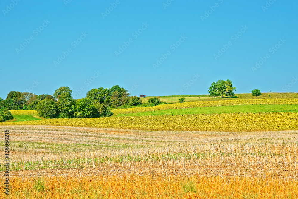 Field Yverdon les Bains Jura Nord Vaudois Vaud Switzerland