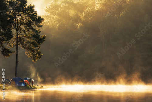 Camping and tent under the pine forest in sunset at Pang-ung, pine forest park , Mae Hong Son, North of Thailand