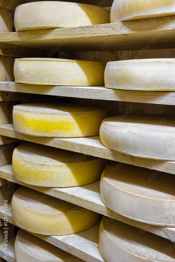 Pile of aging Cheese at ripening cellar Franche Comte creamery
