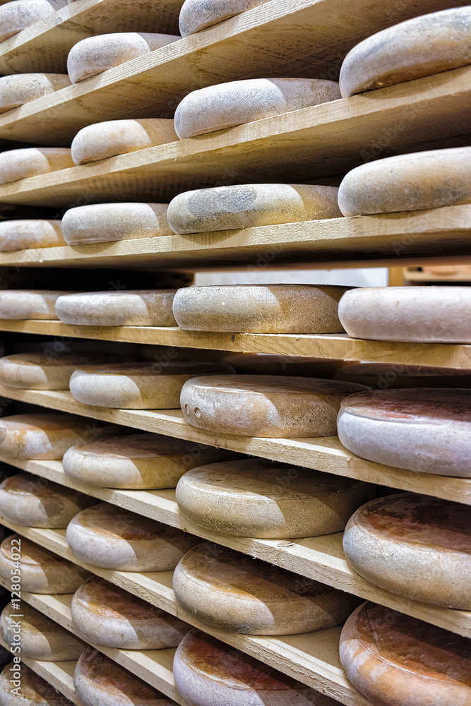 Rows of aging Cheese in maturing cellar Franche Comte creamery