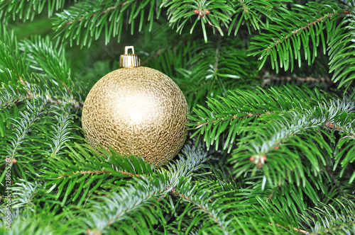 Ball shape Christmas decoration in real tree