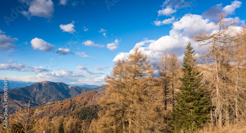 Monte Panarotta. autumn view of the mountains of Cima Panarotta  Levico Terme  Trentino Alto Adige  Italy  