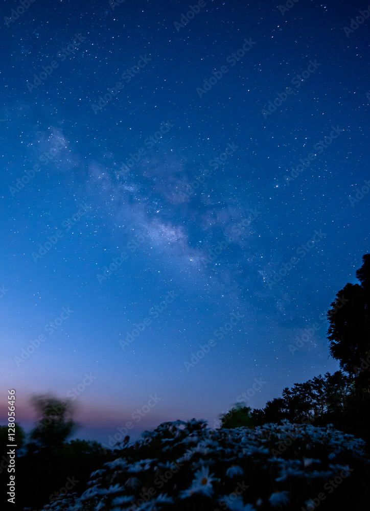 Milky Way. Beautiful night sky