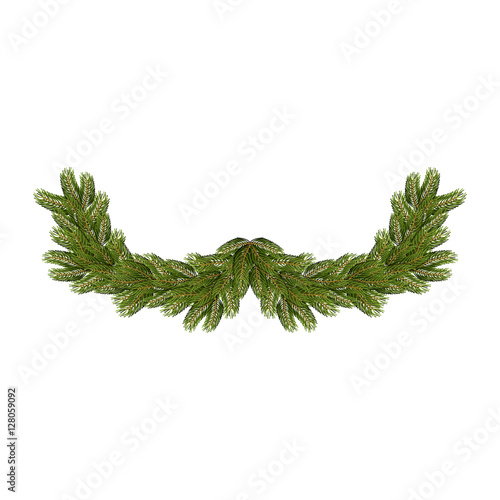 Spruce branches isolated. Christmas and New Year accessory