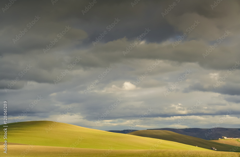 RURAL LANDSCAPE WINTER.Between Apulia and Basilicata. Hilly landscape with farmhouse dominated by thunderclouds. -ITALY- .Play of light on cultivated field dominated by thunderclouds.