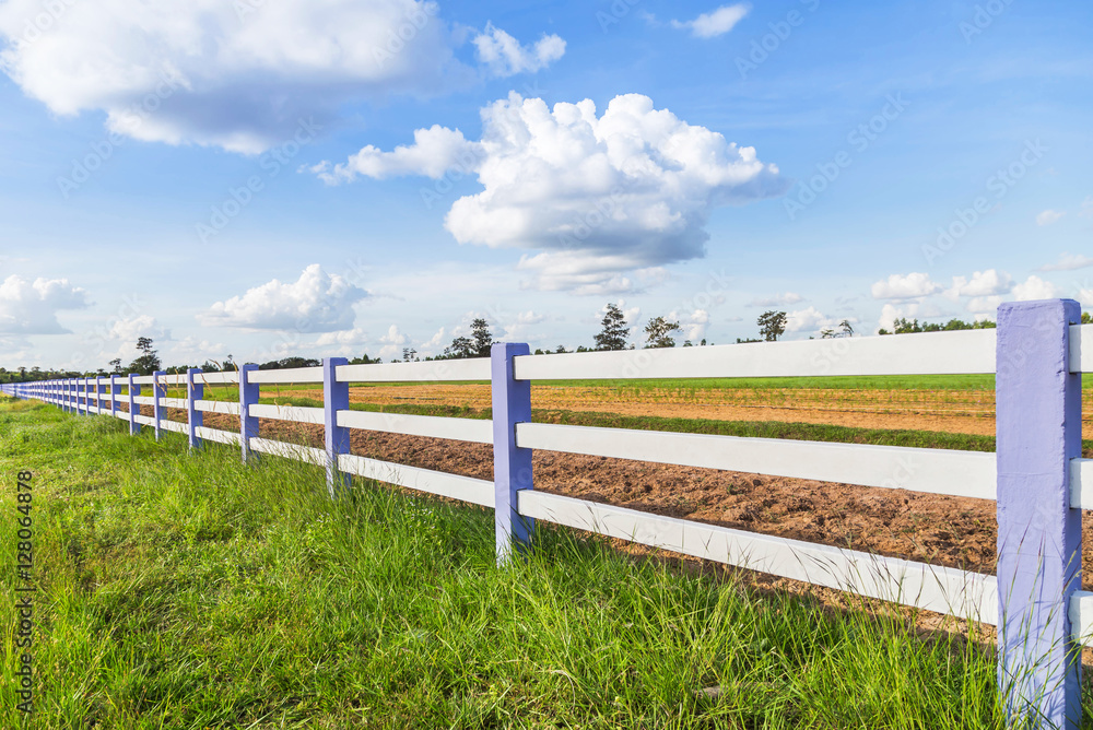 Fototapeta premium white fence in green farm with blue sky background