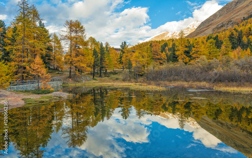 autumn landscape in Martello Valley,South Tyrol, Italia. 
